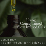Serendipitous Summer Farms Comfrey Salve, enfoque en la composición con ingredientes naturales.
