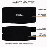 Serenity2000 set magnético de cuerpo completo para uso versátil.
