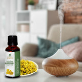 Sheer Essence Helichrysum Italicum: mezcla cosmética casera para belleza