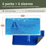 Sherpa Therapy 4PK construcción a prueba de fugas para transporte seguro.
