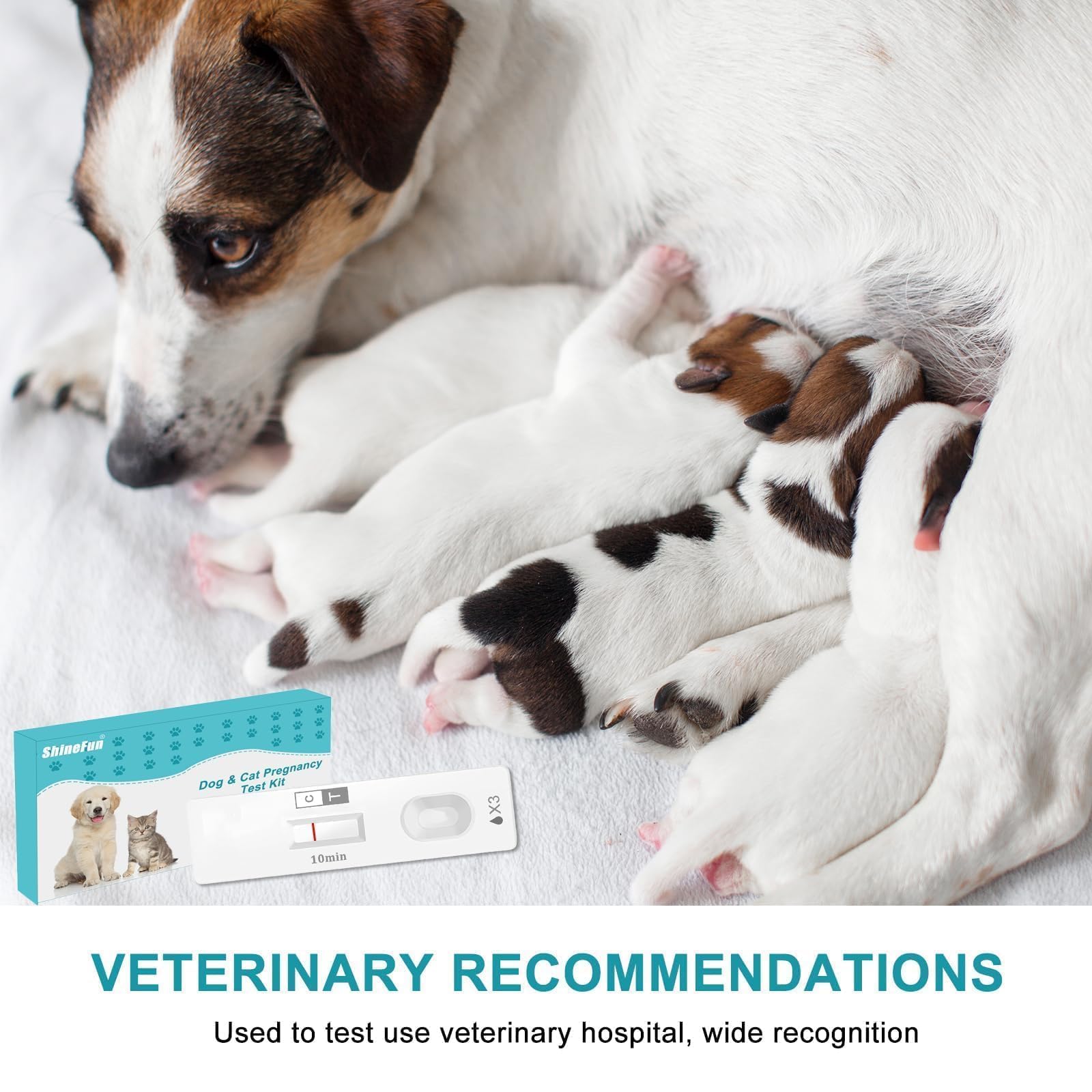 Familias multi-mascota ShineFun, prueba conveniente y confiable.