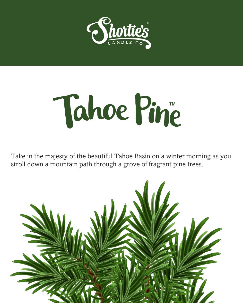 Shortie's Tahoe Pine presentación en caja para regalo