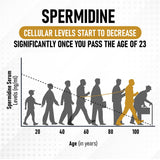 Shrink Spermidina: envase con información de ingredientes clave.