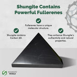 Piramide Shungite World protege y decora la oficina con estilo