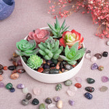 SigMntun colección de piedras para decoración de escritorio
