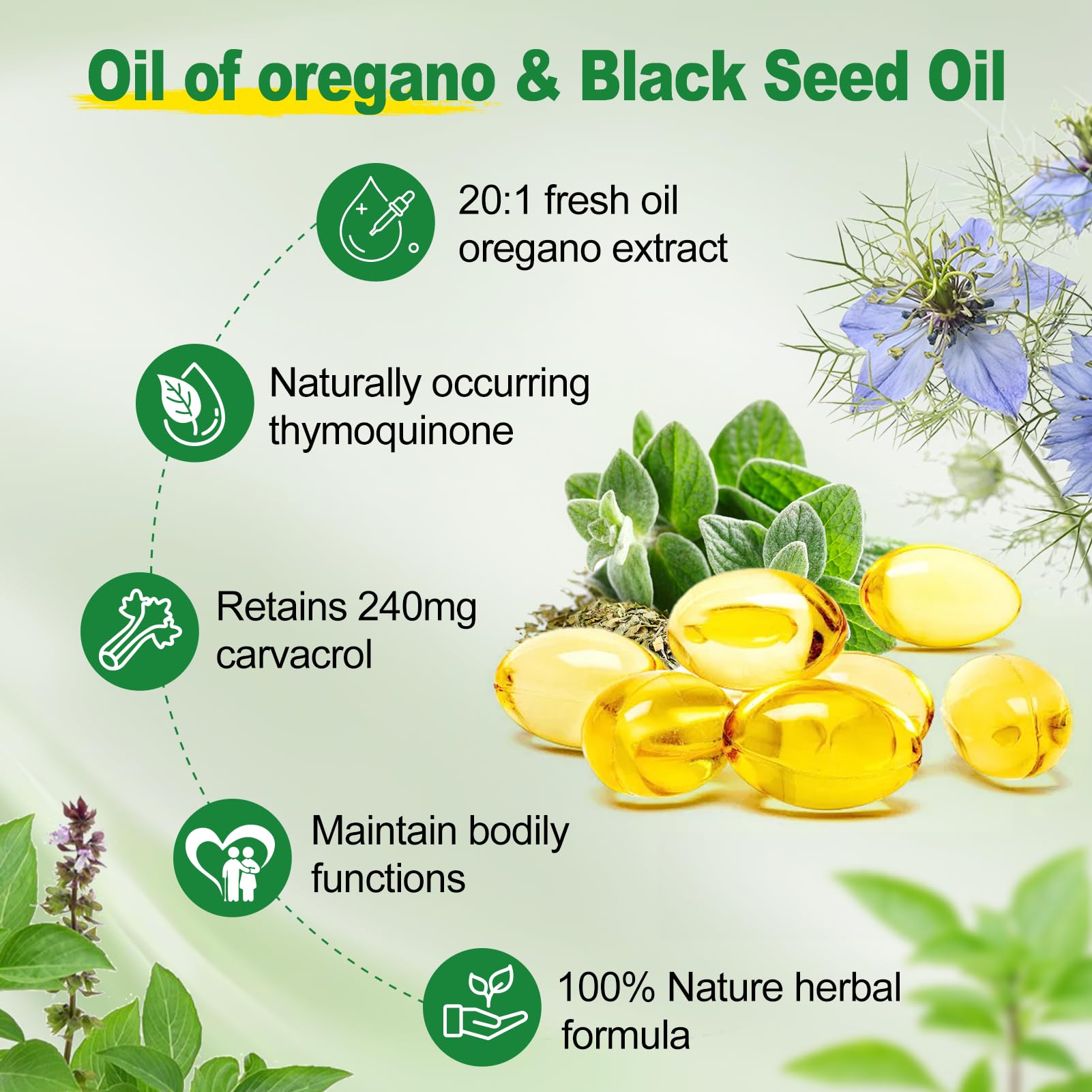 SIGNILIFE Antioxidantes oregano semilla negra, libre de OGM y gluten, apoyo general.