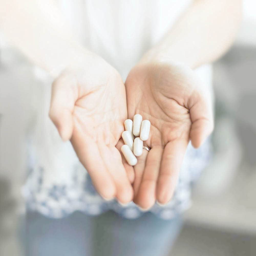 Bacterias formadoras de esporas Silver Fern Probiotico, alta supervivencia.