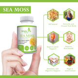 Simple Life Nutrition cápsulas-sistema-inmune para soporte diario