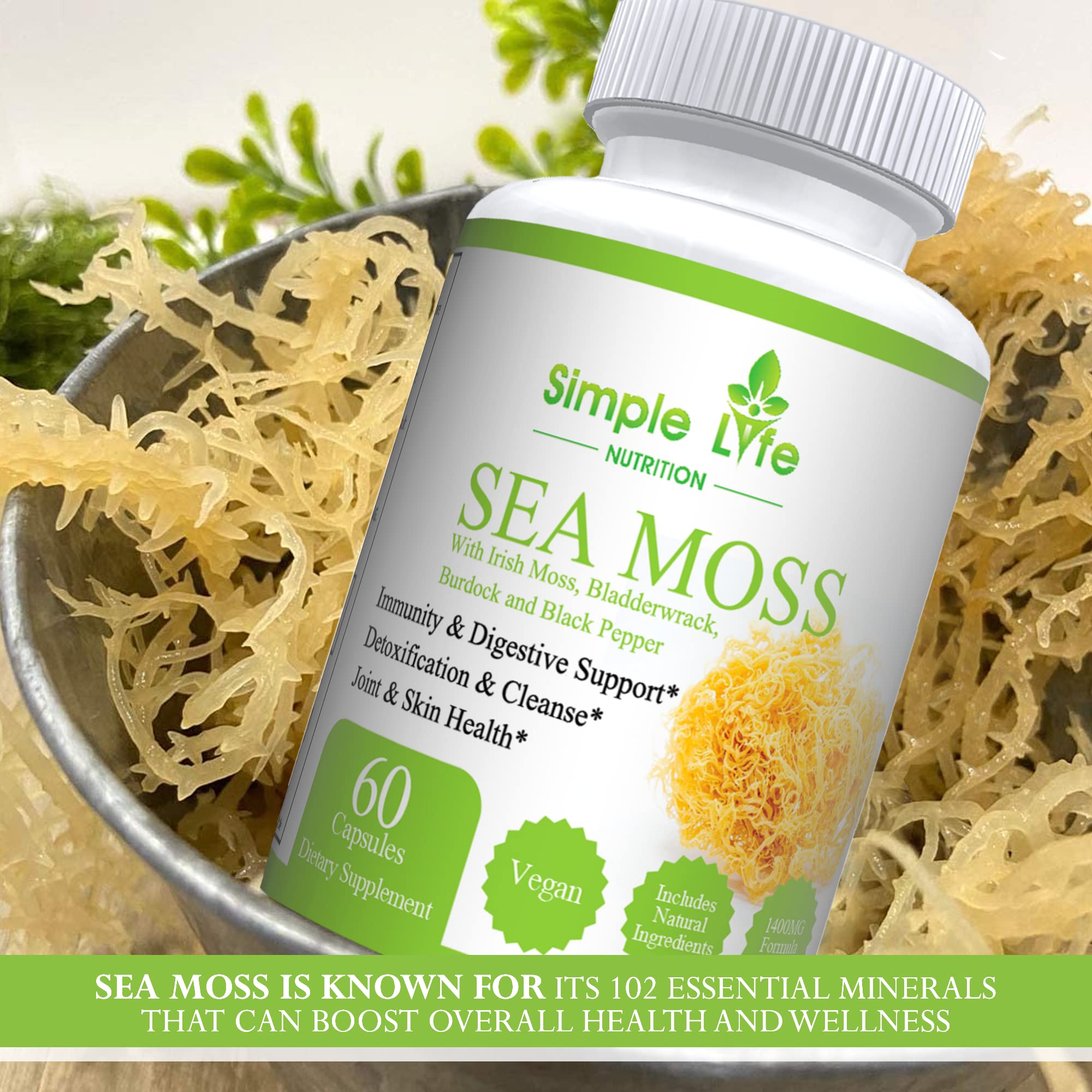 Simple Life Nutrition raíz-bardana-polvo para antioxidantes y bienestar