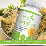 Simple Life Nutrition raíz-bardana-polvo para antioxidantes y bienestar