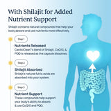 Detalle de ingredientes de CardioClear7: CoQ10, PQQ y Shilajit.