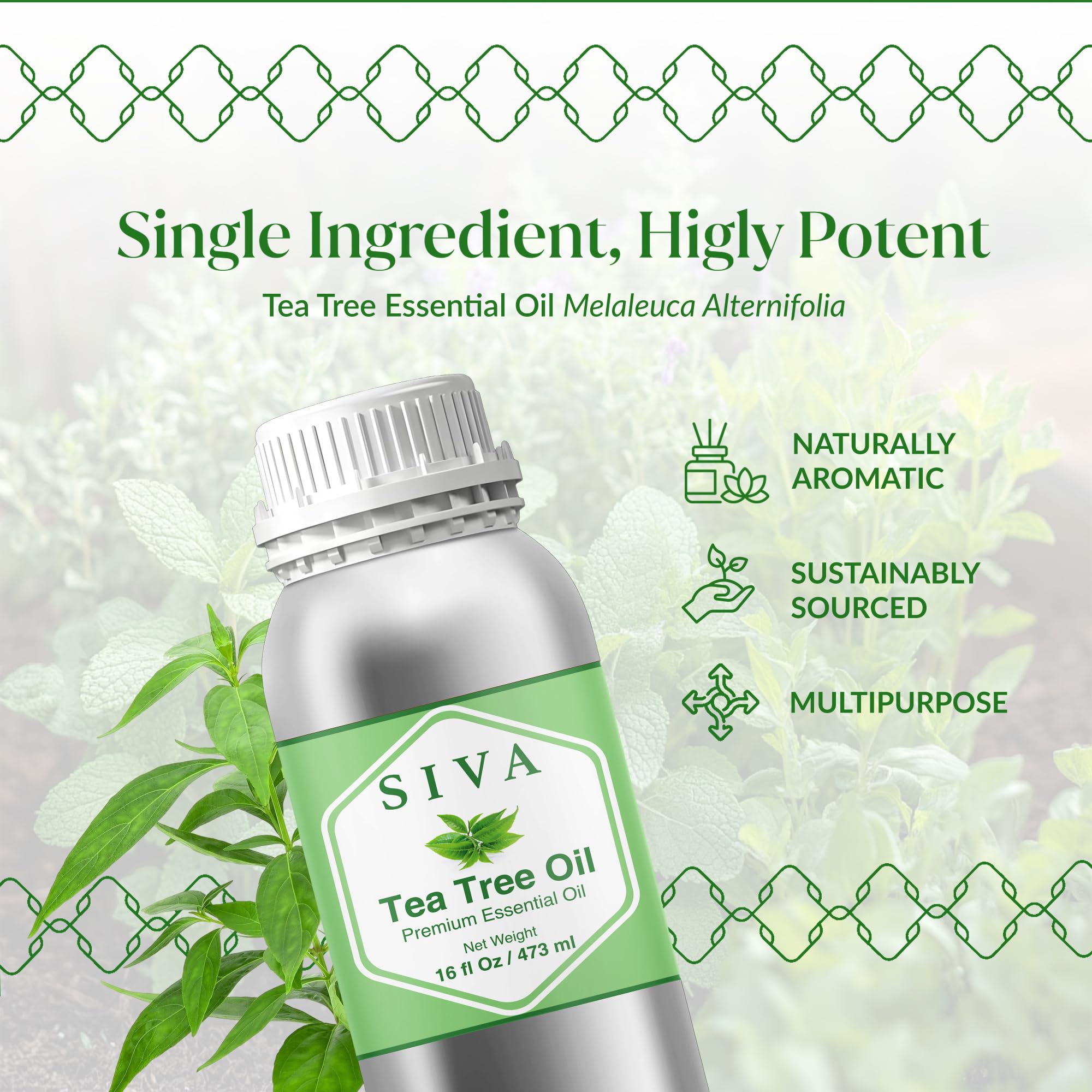 Siva Tea Tree Oil para cabello y cuero cabelludo, uso diluido
