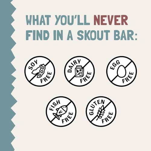 Barrita Skout vegetal con 5 ingredientes o menos, snack simple y natural.