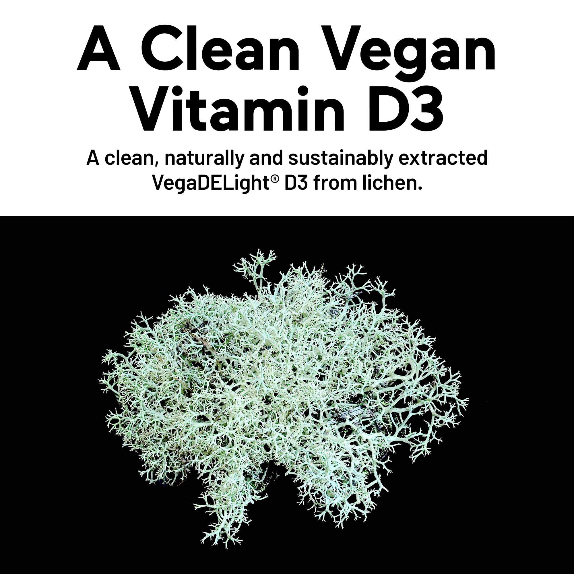 SMARTERNUTRITION Vitamina K2 MK-7 y MK-4 para soporte óseo potencial.