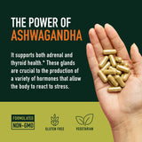 Uso diario de SMNutrition Ashwagandha, botella lista para tu mañana