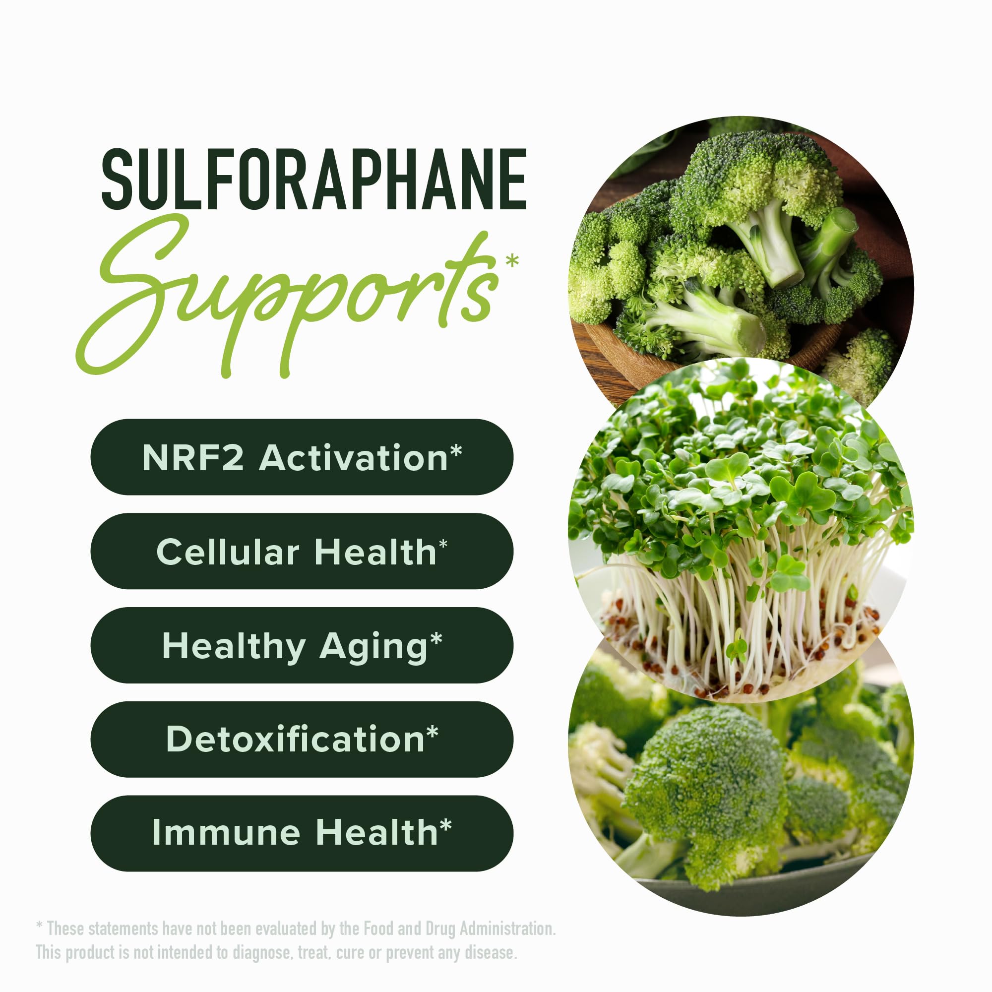 SMNutrition glucorafanina y mirosinasa, enzimas para activar antioxidantes naturales.