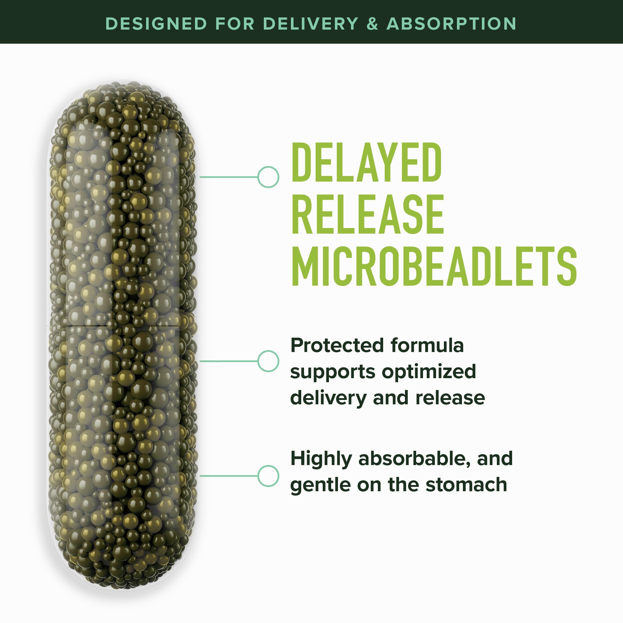 SMNutrition microperlas de liberación digestiva que mejoran la absorción.