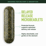 SMNutrition microperlas de liberación digestiva que mejoran la absorción.