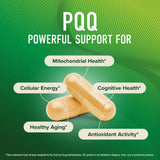 SMNutrition PQQ etiqueta frontal, diseño claro para uso diario.