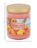 Smoke Odor Exterminator aroma mango Maui Wowie para ambientes sin humo y fragancia agradable.