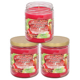 Vela Smoke Odor Exterminator manzana canela para refrescar el ambiente y eliminar olores.