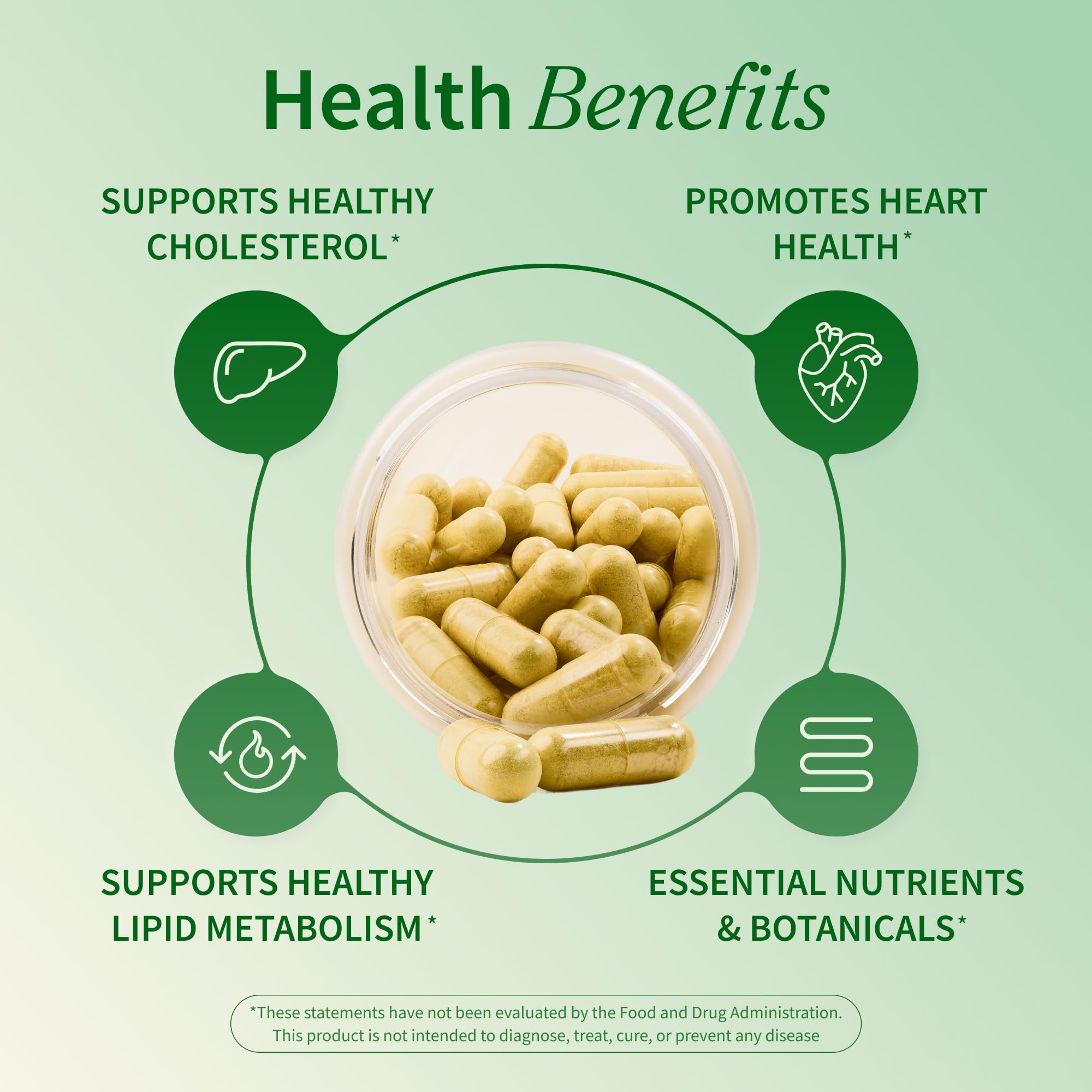 Snap Supplements Salud Colesterol: extracto de ajo encapsulado para apoyo prebiótico
