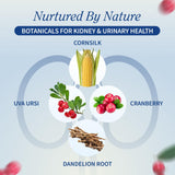 Arándano orgánico Snap Supplements, ingrediente clave para bienestar renal
