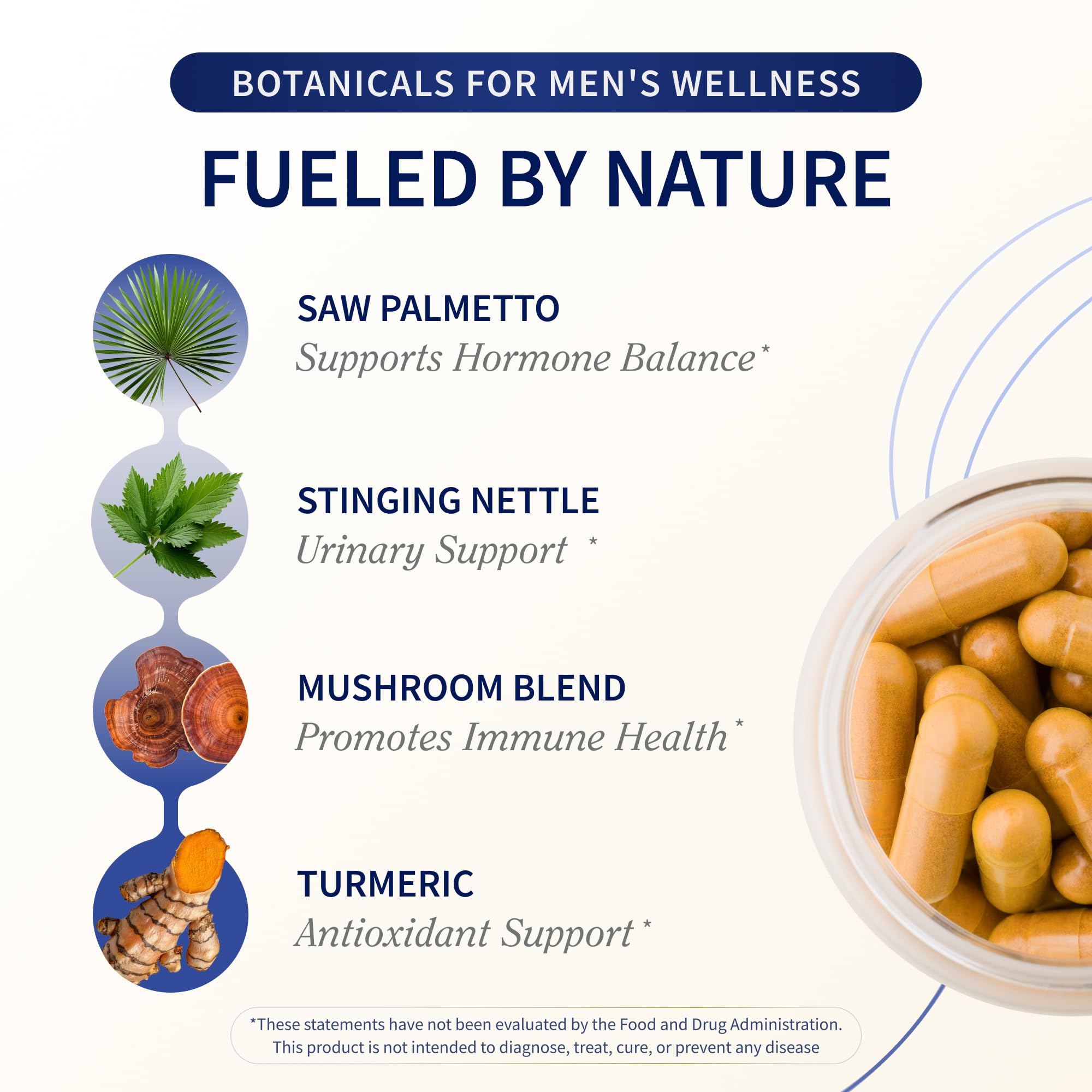 Snap Supplements Cúrcuma: extracto estandarizado para apoyo inflamatorio saludable.