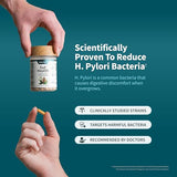 Snap Supplements Digestive Enzymes: mezcla enzimática para apoyo digestivo suave