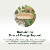 Envase de 60 cápsulas de Snap Supplements Energy & Metabolism.