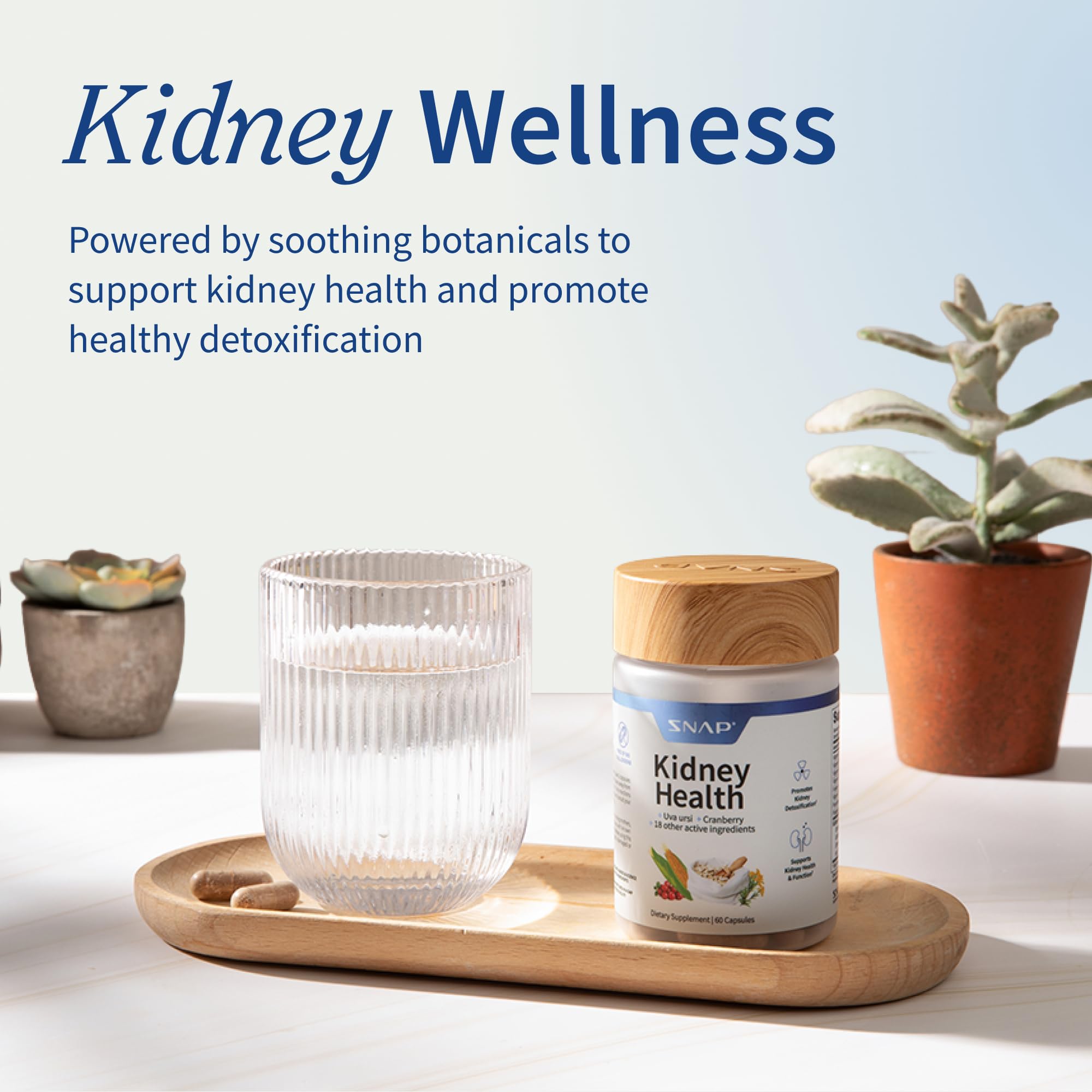 Extracto de semilla de uva Snap Supplements, antioxidantes para energía