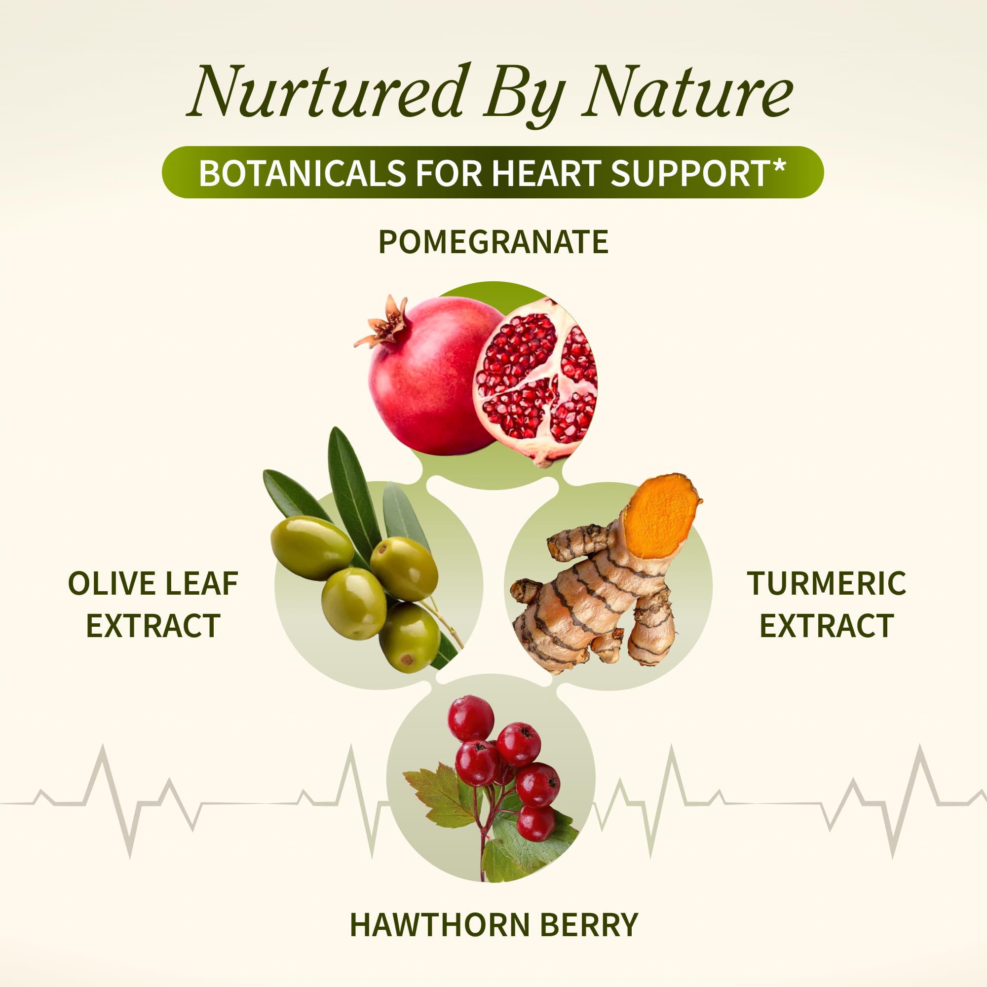 Snap Supplements Polvo Remolacha Capsulas: nutrientes para energía celular