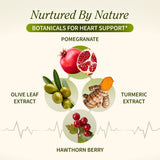 Snap Supplements Polvo Remolacha Capsulas: nutrientes para energía celular