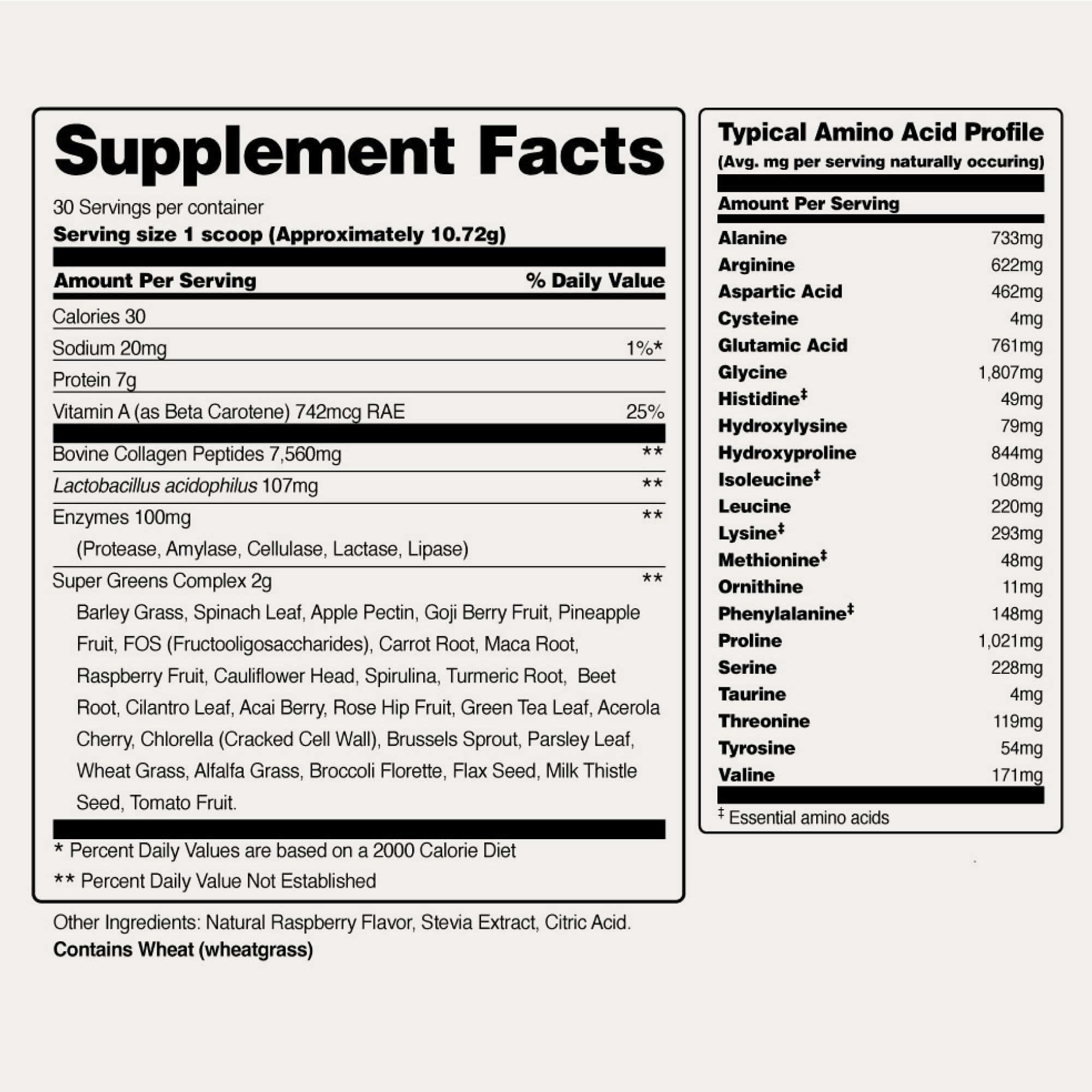 Cuchara medidora de Snap Supplements Super Greens facilita la dosificación precisa.