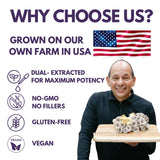 La Sociedad del Hongo cápsulas veganas puras para uso diario