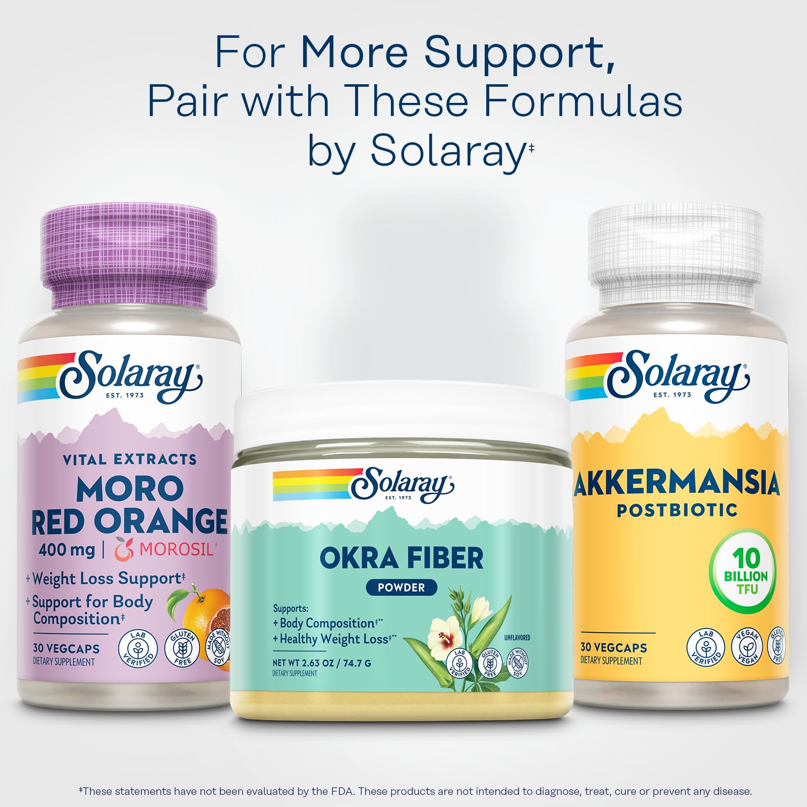 SOLARAY Akkermansia Postbiotic — planta con paneles solares para energía limpia.