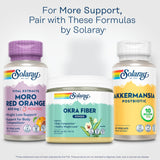 SOLARAY Akkermansia Postbiotic — planta con paneles solares para energía limpia.