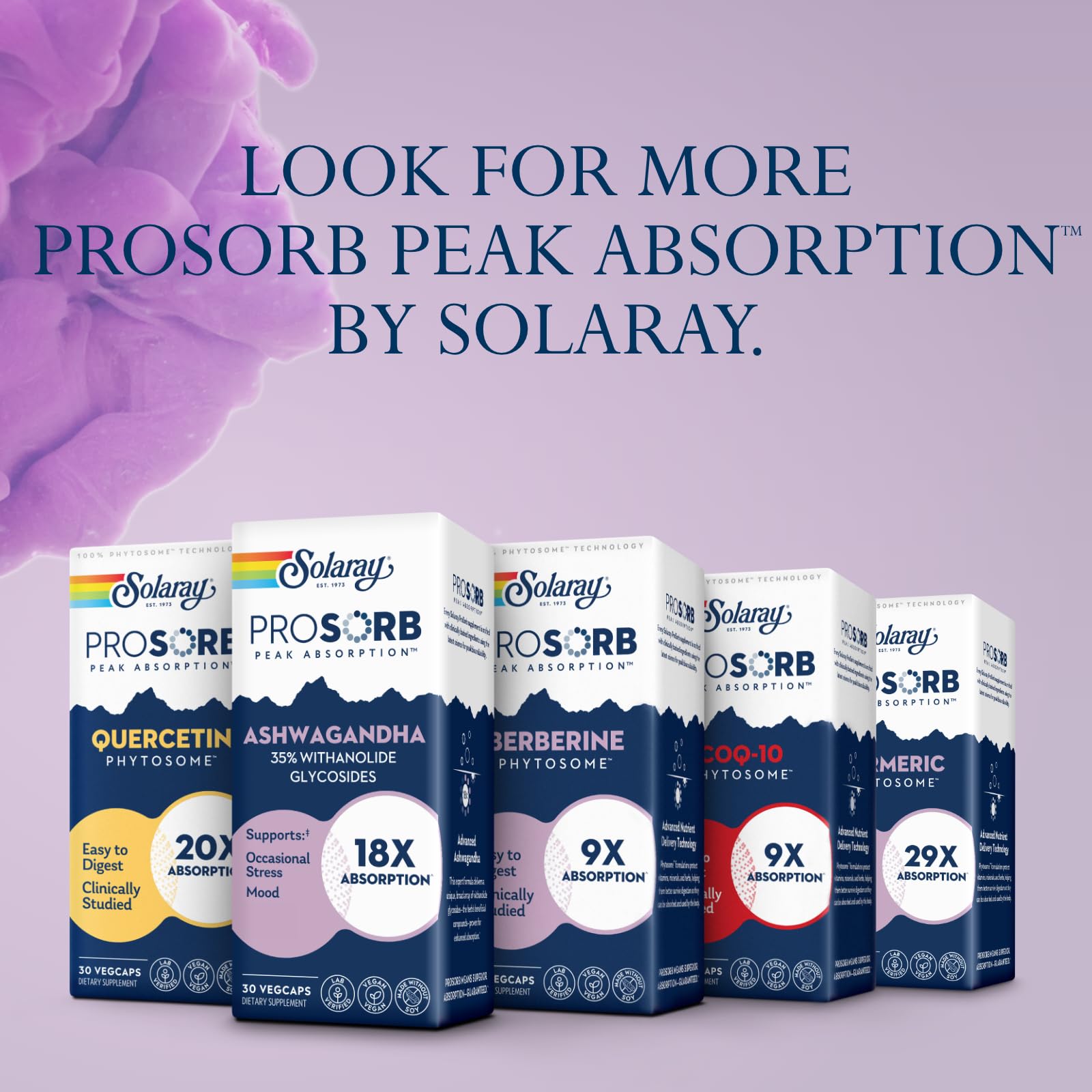 SOLARAY Ashwagandha caja de empaque lista para tienda.