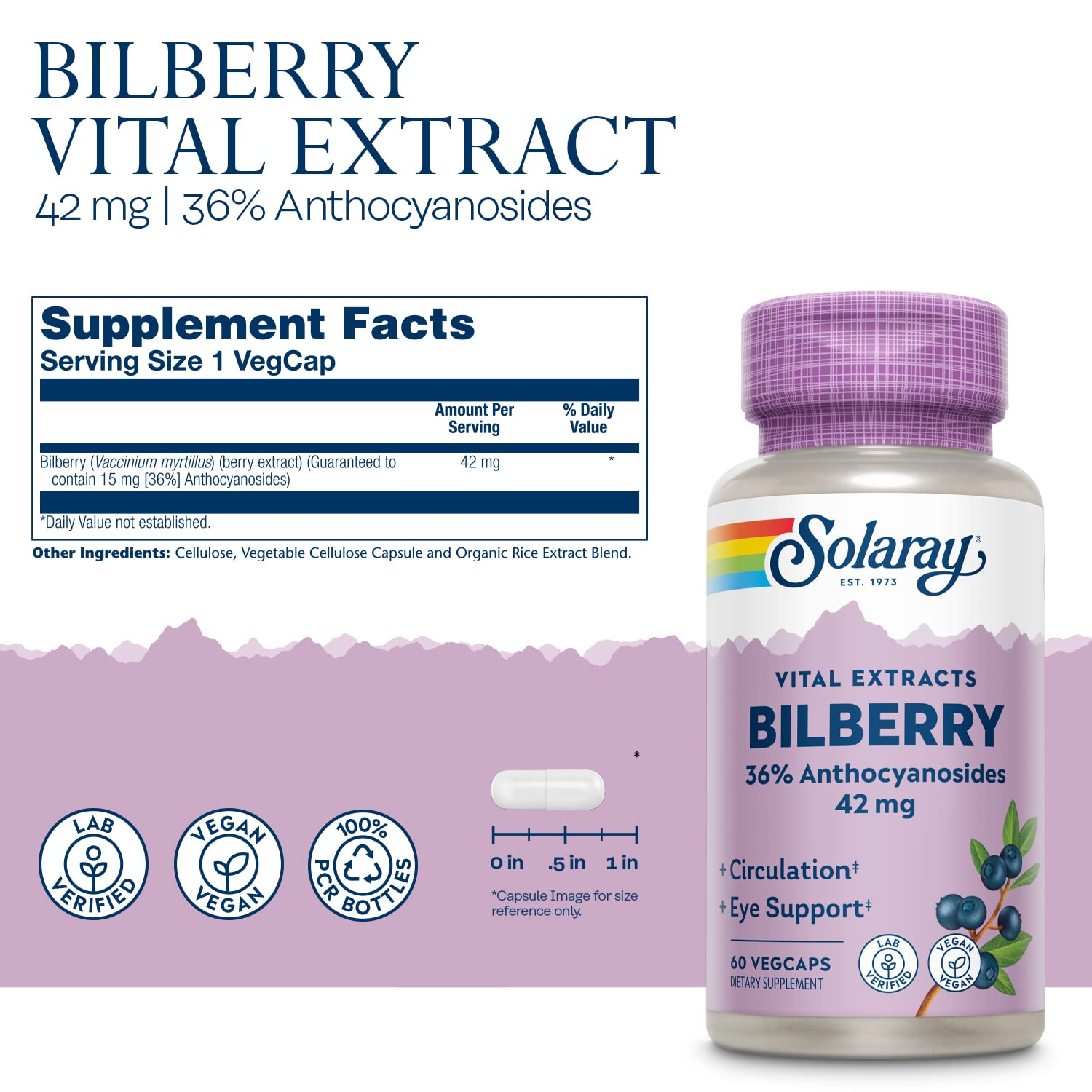 SOLARAY Bilberry Extract etiqueta clara, destacando ingredientes y calidad.
