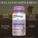 SOLARAY Dopabean primer-plano-l-dopa enfoque en L-Dopa de alta pureza