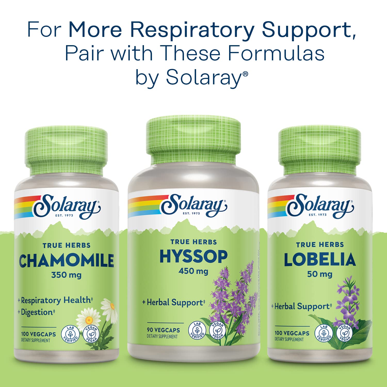 SOLARAY Hoja de mullein, caja doble: ahorro y conveniencia en rutina herbal