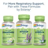 SOLARAY Hoja de mullein, caja doble: ahorro y conveniencia en rutina herbal