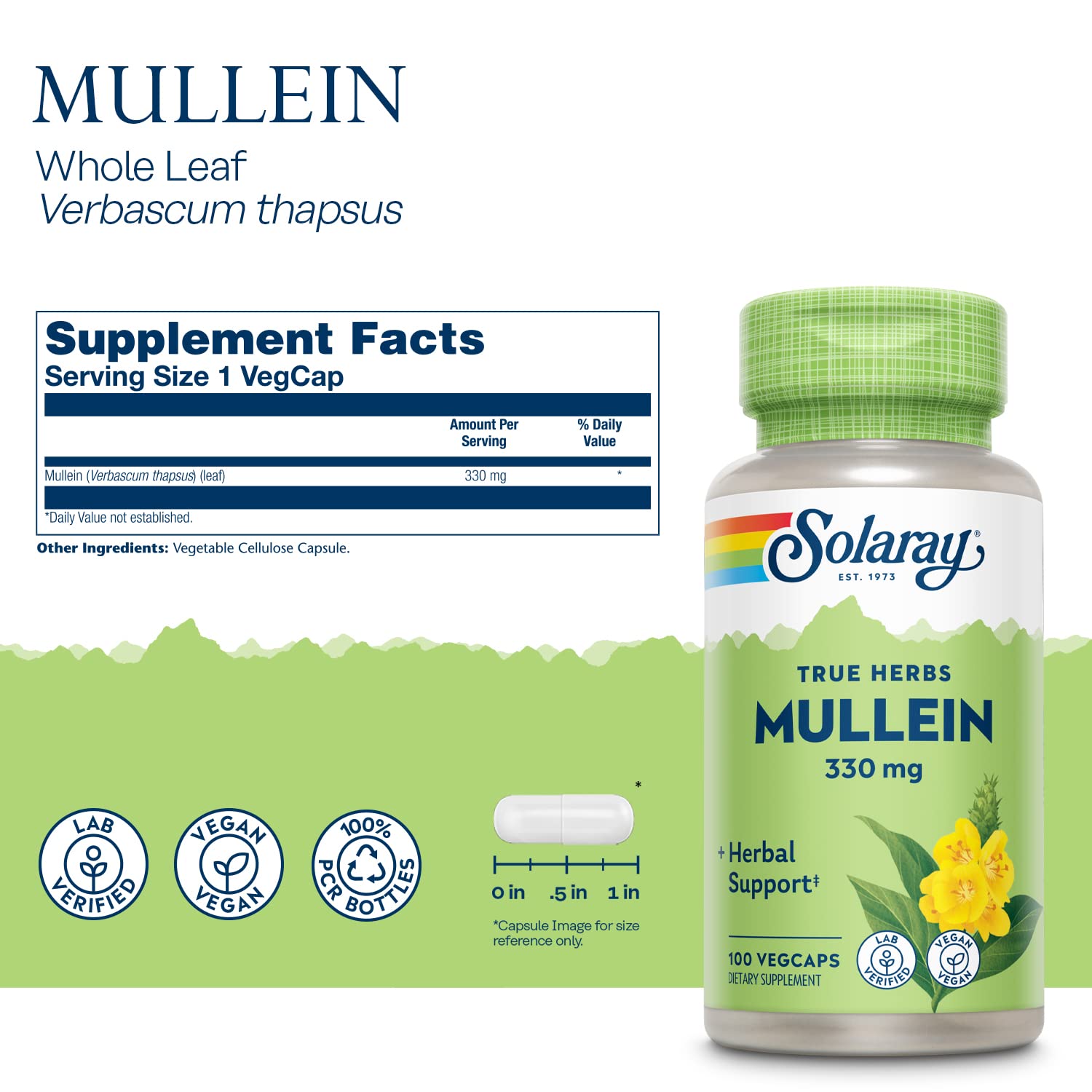 SOLARAY Hoja de mullein, cápsulas veganas: dosis diaria para bienestar respiratorio