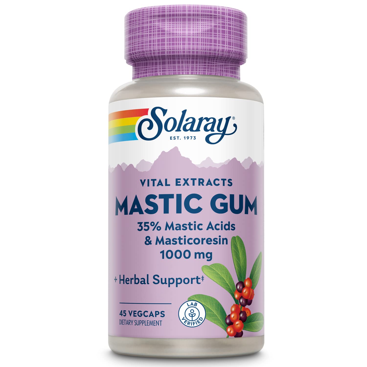 SOLARAY Mastic Gum Extract en botella, fácil dosis para apoyar la digestión