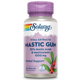 SOLARAY Mastic Gum Extract en botella, fácil dosis para apoyar la digestión