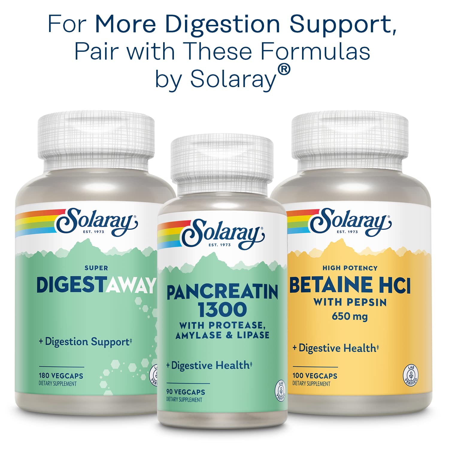 SOLARAY Mastic Gum Extract frente del pack con dosis y contenido