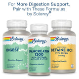 SOLARAY Mastic Gum Extract frente del pack con dosis y contenido