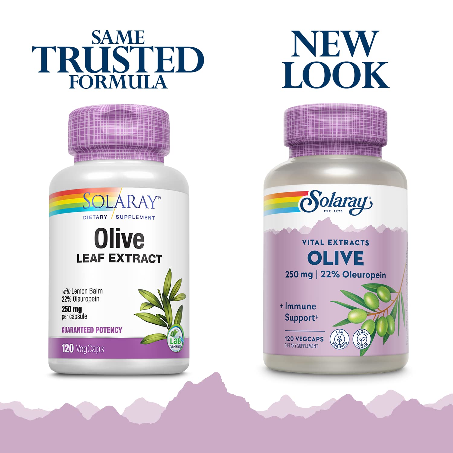 SOLARAY Olivo 250 mg, etiqueta visible para un uso constante y cómodo.