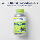 SOLARAY Bayas de Palmetto con ácidos grasos y esteroles vegetales para uso diario.