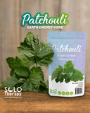Solo Therapy Patchouli para altar uso en rituales de purificación y enfoque espiritual
